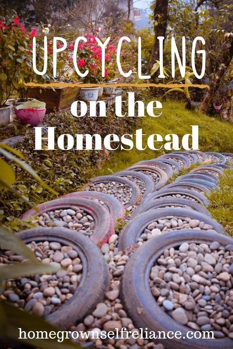 Upcycling is a great way to save money on the homestead, and it helps keep junk out of our landfills. Come see how you can do DIY upcycling on your homestead! #upcycling #reducereuserecycle #choosetoreuse Start A Homestead, Homesteading For Beginners, Diy Survival, Homesteading Diy, Homestead Life, Homesteading Ideas, Homesteading Skills, Areas Verdes, Urban Homesteading