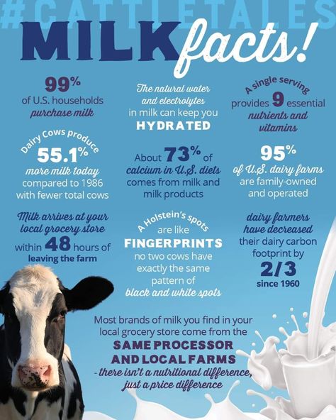 Dairy Promotion Ideas, Homemade Dairy Cow Feed, Dairy Month Activities, Milk Infographic, June Dairy Month, Milk Facts, Cow Facts, Cow Feed, Dairy Industry