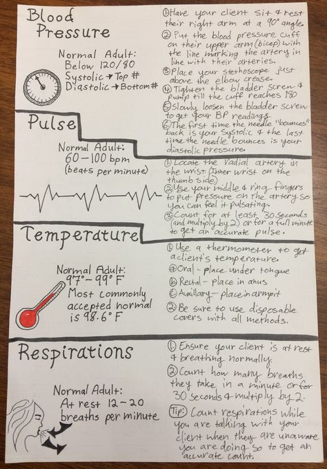 Assignment 4.3: the four vital signs that ought to be checked at a prenatal appointment. Medical Assistant Vital Signs, Taking Vitals Signs, Anesthesiologist Notes, Vital Signs Notes, Vital Signs Chart Nursing, Vital Signs Nursing Notes, Cna Notes, Fca Ideas, Vital Signs Chart