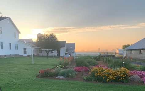 Amish Garden Layout, Amish Garden, Arthur Illinois, Kalona Iowa, Amish Wedding, Shipshewana Indiana, Amish Lifestyle, Farm And Garden, Amish House