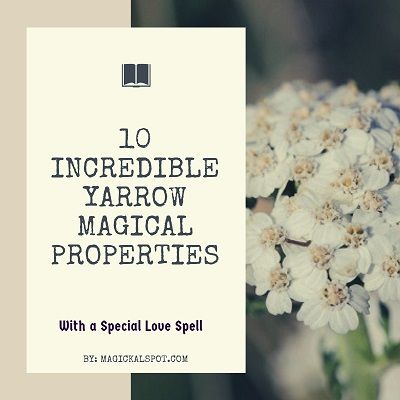 Here's everything you need to know about Yarrow Magical Properties and its significance in the world of witchcraft. I've also included a few magickal tips Yarrow Plant, Candle Fire, Attraction Spell, Witchcraft Books, Green Magic, Psychic Powers, Water Element, Pink Candles, Diy Recipes