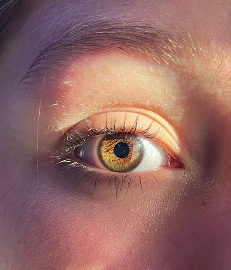 gold brown eyes Gold Hazel Eyes, Gold Brown Eyes, Eyes Hazel, Sign Drawing, Gold Flecks, Gold Eyes, Hazel Eyes, Story Ideas, Brown Eyes