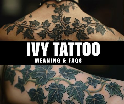 What is the significance of an ivy tattoo? Ivy Sleeve Tattoos For Women, Ivy Hand Tattoos For Women, Black Ivy Tattoo, Snake And Ivy Tattoo, Ivy Tattoos For Women, Ivy Back Tattoo, Ivy Vines Tattoo, Ivy Plant Tattoo, Poison Ivy Tattoo Vines