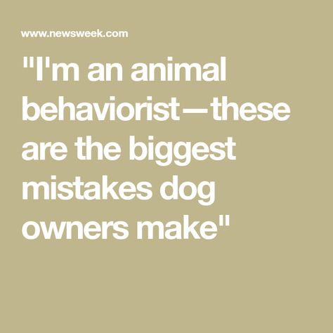 "I'm an animal behaviorist—these are the biggest mistakes dog owners make" The More I Learn About People Dogs, Animal Rescue Center, Animal Behaviorist, Dog Help, Dog Owner Memes, Dog Behavior, Human Emotions, Service Dogs, Cocker Spaniel