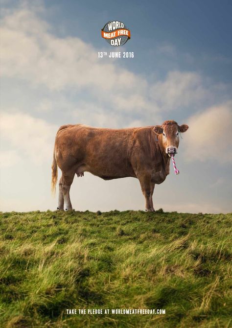 World Meat Free Day: Party cow Eco Farm, Party Chicken, Shop Banner Design, Book Advertising, Clever Advertising, Ad Of The World, Creative Advertising Campaign, Ads Of The World, Graphic Design Ads