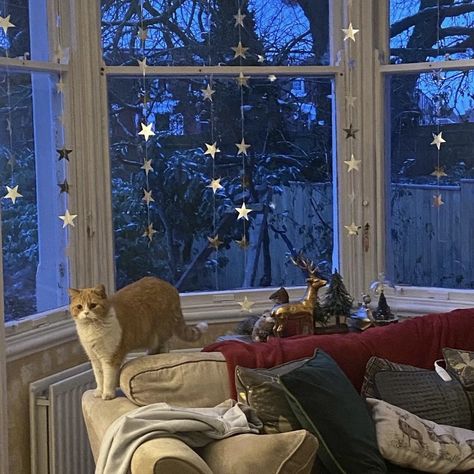 Uni Room, Two Cats, Dream Apartment, Christmas Mood, Winter Aesthetic, Samhain, Christmas Aesthetic, Cozy Christmas, My New Room