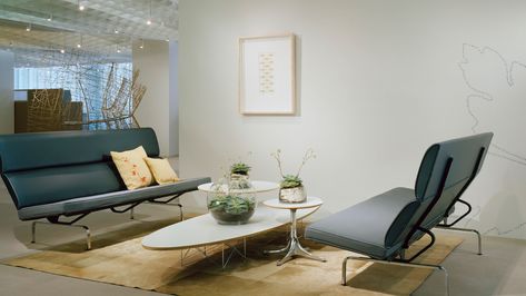 Eames Sofa, Tabletop Terrarium, Compact Sofa, Built In Sofa, Eames Office, Compact Sofas, Traditional Sofa, Charlotte Perriand, Charles Eames