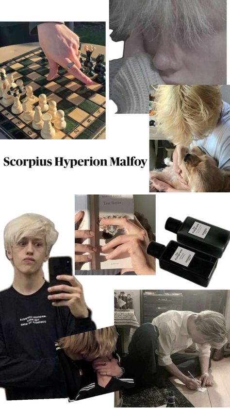 My beloved- Scorpius Malfoy Scorpious Malfoy, Scorpius Malfoy, Harry Potter Next Generation, Harry Potter, Lily