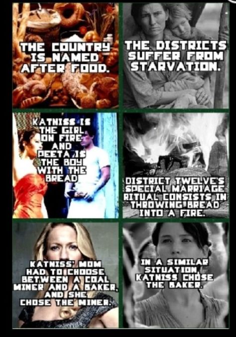 MIND BLOWN FACTS ABOUT THE HUNGER GAMES !! Katniss Everdeen - Hunger Games Fan Fiction, Hunger Games Memes Humor, Hunger Games Book Quotes, Hunger Games Facts, Hunger Games Book, The Hunger Games Books, The Hunger Games Book, Hunger Games Books, Hunger Games Memes