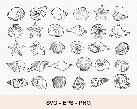 Shell Line Drawing, Cricut Diy Projects, Home Decor Branding, Shell Illustration, Seashell Drawing, Decor Branding, Shell Drawing, Seashell Tattoos, Shell Tattoos