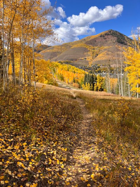 Colorado Autumn Aesthetic, Colorado In Fall, Wesley Joseph, Fall Granola, Fall Core, Hiking Fall, Unreal Unearth, Take Me To The Mountains, 2024 Board