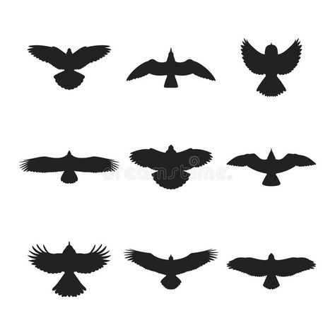 Flying bird silhouettes set royalty free illustration Hawk Silhouette, Bird Silhouette Tattoos, Small Eagle Tattoo, Flying Bird Silhouette, Red Bird Tattoos, Bird Silhouettes, Vogel Tattoo, Tatuagem Masculina Pequena, Dove Pigeon