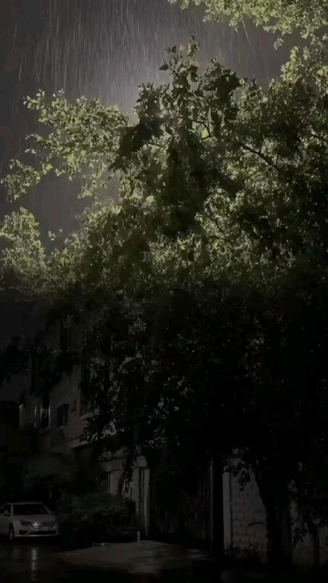 Dark Night Rain Video, Rainy Sky, Sky Gif, Rainy Day Aesthetic, Night Rain, Night Video, Dark Green Aesthetic, Dark Nature Aesthetic, Night Scenery