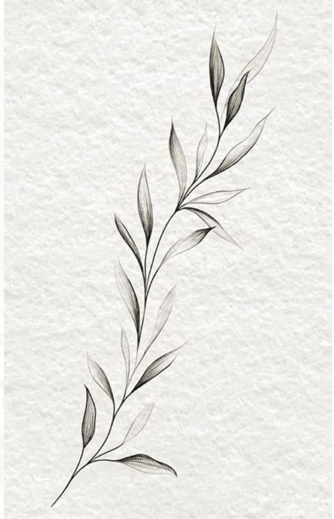 Olive Branch Tattoo, Around Arm Tattoo, Wrap Around Tattoo, Tato Minimal, Wrap Tattoo, Leaf Tattoo, Branch Tattoo, Vine Tattoos, Plant Tattoo