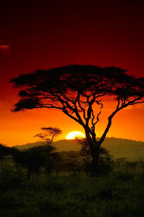 Beautiful South Africa, South Africa Landscape Photography, Africa Asethic, African Sunset Photography, Afrika Aesthetic, South Africa Wallpaper, South African Aesthetic, South African Landscapes, South Africa Aesthetic