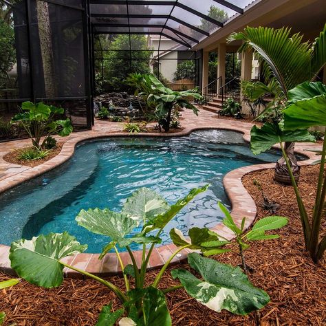 Travertine Pool Deck, Pool Screen Enclosure, Pool Screen, Ivory Travertine, Indoor Pool House, Screened Pool, Florida Pool, Indoor Pool Design, Travertine Pavers