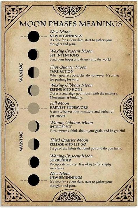 Discover the Magic of Moon Phases New Custom Made To Order In America Enchanting Wall Art for Witchcraft Lovers and Education Enthusiasts Moon Phases Meaning Witchery Witchcraft Knowledge Fun World Education Science Classroom Infographic The Witches Alphabet, Witchcraft Knowledge, Kitchen Witchery Art, Witches Magic Knowledge Wall Art, Magic Love Vintage Style Whimsigoth Aesthetic Room Decor Halloween Retro Sign Halloween Metal Tin Poster Explore the enchanting world of moon phases and their mea Moon Phases Meaning, Witchcraft Knowledge, Witches Alphabet, Goddess Magick, Nature Witch, Education Science, Grimoire Book, Kitchen Witchery, Moon Setting