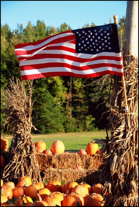 American flag and pumpkins American Flag Pumpkin, Flags Wallpaper, Ironton Ohio, American Flag Images, Flag Pictures, Usa Aesthetic, American Flag Pictures, Pumpkin Painted, Patriotic America