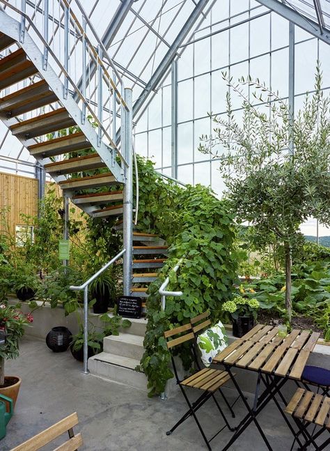 Barn adaptation...I want to live in a 2 story green house. Nature House, Home Greenhouse, Greenhouse Plans, House In Nature, Earthship, Eco House, Sustainable Home, Modern Buildings, Glass House