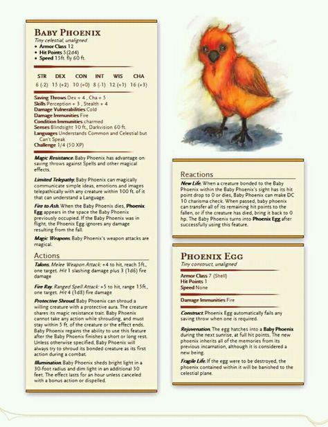 Cute Dnd Familiars, Harry Potter Creatures, Monster Manual, Dnd Stats, Dnd Stories, Dnd Races, Dungeon Master's Guide, Dungeons And Dragons 5e, D D Monsters