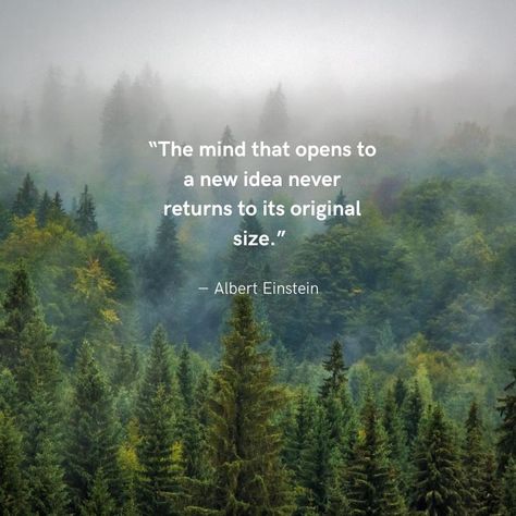 "The mind that opens to a new idea never returns to its original size." Albert Einstein Tara Brach, Expand Your Mind, Zen Philosophy, Jon Kabat Zinn, Meant To Be Quotes, Eckhart Tolle, Never Look Back, Mindfulness Practice, Mindfulness Meditation