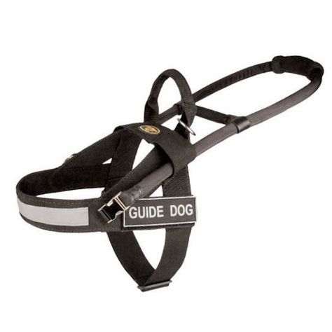 Guide Dog Harness with Bridge Handle, High Vis and Patches Service Dog Harness, Service Dogs Gear, Service Dog Vests, Dog Vests, Assistance Dog, Border Collie Dog, Guide Dog, Collie Dog, Service Dog