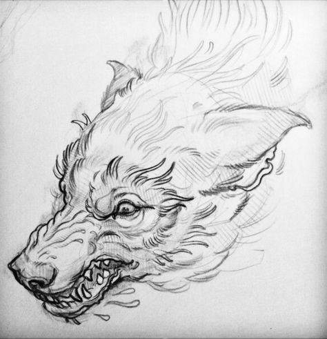 Alexander Grim, Wolf Reference, Ever Tried Ever Failed, Fail Again Fail Better, Fail Better, Samuel Beckett, Wolf Tattoo Design, Black And White Art Drawing, Canine Art