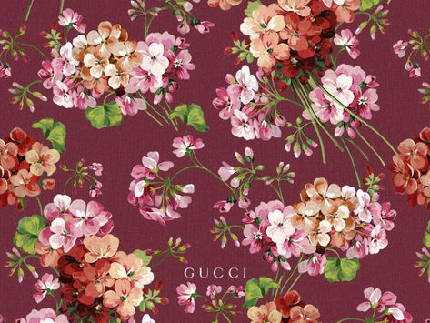 Gucci Wallpaper Iphone, Gucci Wallpaper, Flowers Pink Roses, Spring Flowers Wallpaper, Gucci Pattern, Snake Wallpaper, Floral Wallpaper Iphone, Gucci Floral, Iphone Background Images