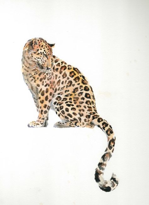 Amur Leopard Art, Amur Leopard Drawing, Leopard Watercolor Painting, Watercolour Leopard, Leopard Drawing, Pattern Tattoos, Leopard Art Print, Arte Jazz, Leopard Painting