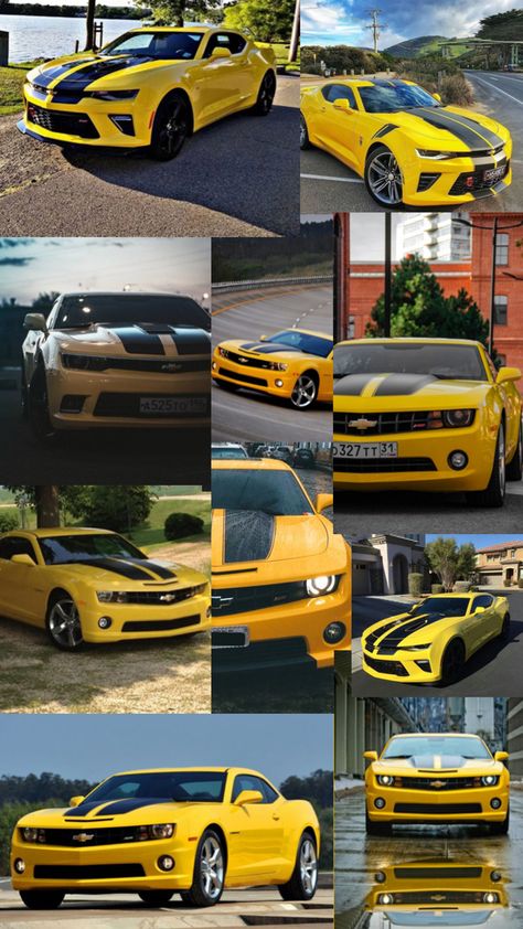 Bumblebee Camaro collage, #car #cars #yellow #pretty #dream Illegal Racing Aesthetic, Chevrolet Camaro Yellow, Bumblebee Camaro, Chevrolet Camaro Bumblebee, Yellow Camaro, Transformers Cars, Car Memes, Mustang Cars, Classy Cars