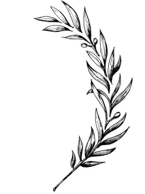 Olive Wreath Tattoo, Laurel Leaf Tattoo, Greek Leaves Tattoo, Greek Leaf Crown, Word Tattoos With Meaning, Laurel Tattoo, Laurel Wreath Tattoo, Olive Tattoo, Word Tattoo Ideas