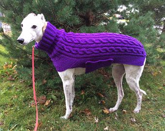 Greyhound Sweater, Knitting Patterns Free Dog, Large Dog Sweaters, Dog Onesies, Large Dog Clothes, Knitted Dog, Knit Dog Sweater, Whippet Dog, Dog Jumpers