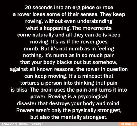 Rowing Memes, Crew Quote, Rowing Quotes, Black Bombshell, Kayak Equipment, Row The Boat, Rowing Crew, Rowing Workout, Crew Team