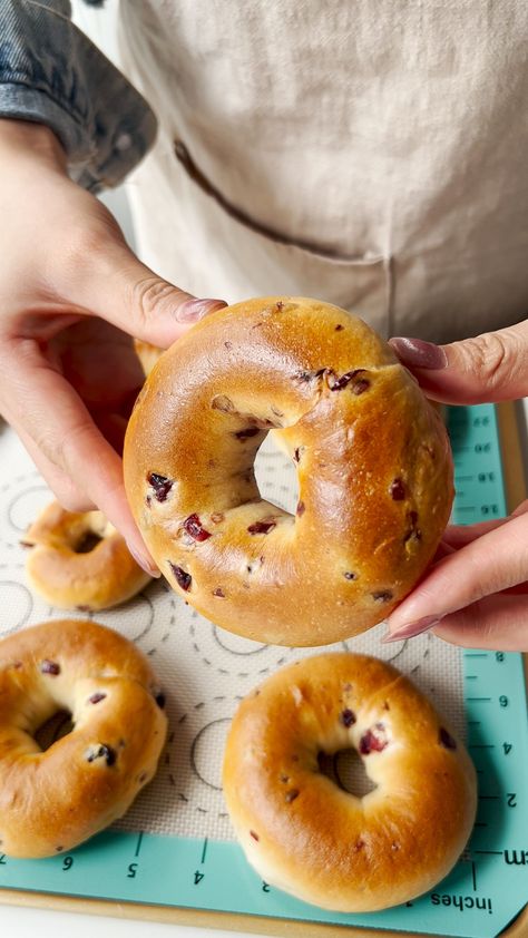 Cranberry Bagels Cranberry Bagels, Types Of Bagels, Bagel Recipes, Bagel Recipe Easy, Chocolate And Raspberry Tart, Homemade Bagels, Best Bread Recipe, Bagel Recipe, Fairy Clothes