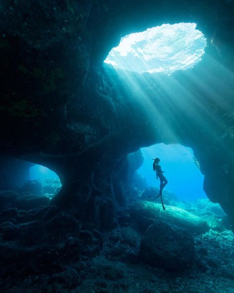 35.6k Likes, 391 Comments - Travis Burke (@travisburkephotography) on Instagram: “Being inside a cave underwater on a single breath of air both terrifies and exhilarates me. Here is…” Alien Ocean, Underwater Caves, Under The Water, Mermaid Core, Underwater Photos, Liquor Bottle, Ocean Wallpaper, Water Photography, Underwater Photography