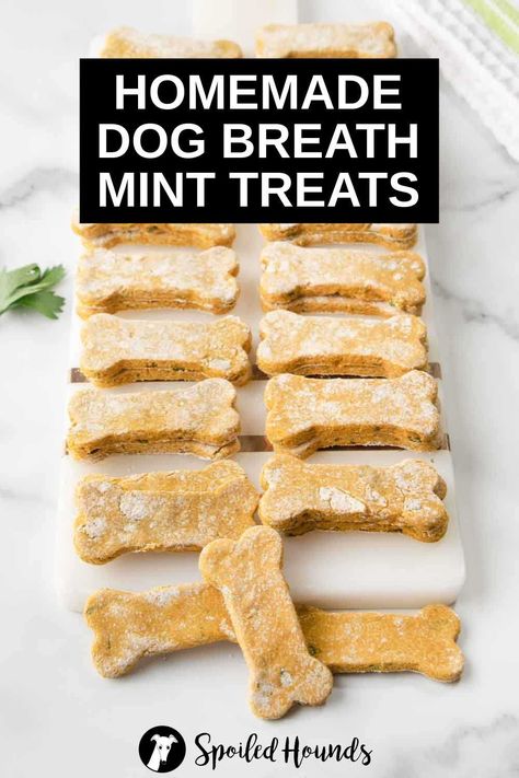 Dog Mints Homemade, Homemade Greenies For Dogs, Homemade Dog Chews, Greenies Recipe Dog Treats, Homemade Dog Dental Treats, Homemade Dog Breath Treats, Dog Breath Mints Homemade, Diy Dog Breath Freshener, Homemade Dental Treats For Dogs