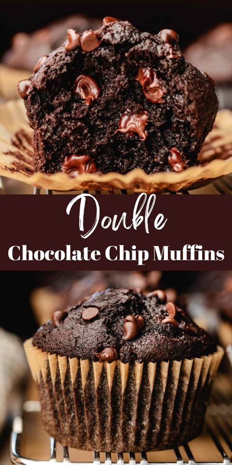 Double Chocolate Chip Muffin Recipe, Chocolate Chocolate Chip Muffins, Best Chocolate Chip Muffins, Choc Chip Muffins, Double Chocolate Chip Muffins, Chocolate Chip Cupcakes, Chocolate Chip Muffin Recipe, Chocolate Muffin Recipe, Chocolate Muffin