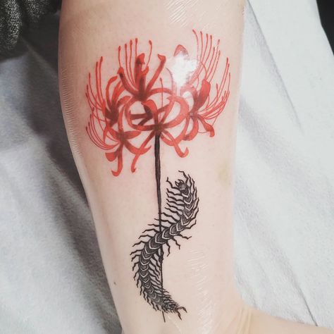 @kaur_daljeett did this anime inspired tattoo from Tokyo Ghoul, of a red spider lily with a centipede, done in an anime style, though semi colour realistic. Centipede With Flowers Tattoo, Tokyo Ghoul Tattoo Spider Lily, Red Spider Lily And Centipede Tattoo, Tokyo Ghoul Matching Tattoos, Tokyo Ghoul Centipede Tattoo Design, Centipede Tattoo Design Tokyo Ghoul, Spider Lily Tokyo Ghoul Tattoo, Spider Lilly Tatoos Tokyo Ghoul, Tokyo Ghoul Inspired Tattoo