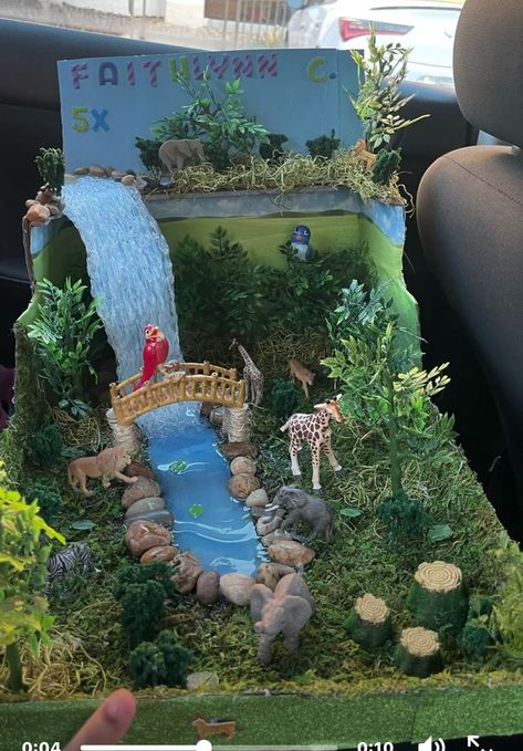 3d Ecosystem Project, Ecosystem Diorama, Grassland Ecosystem, Ecosystems Diorama, Ecosystems Projects, Installation Ideas, Desain Buklet, Science Projects For Kids