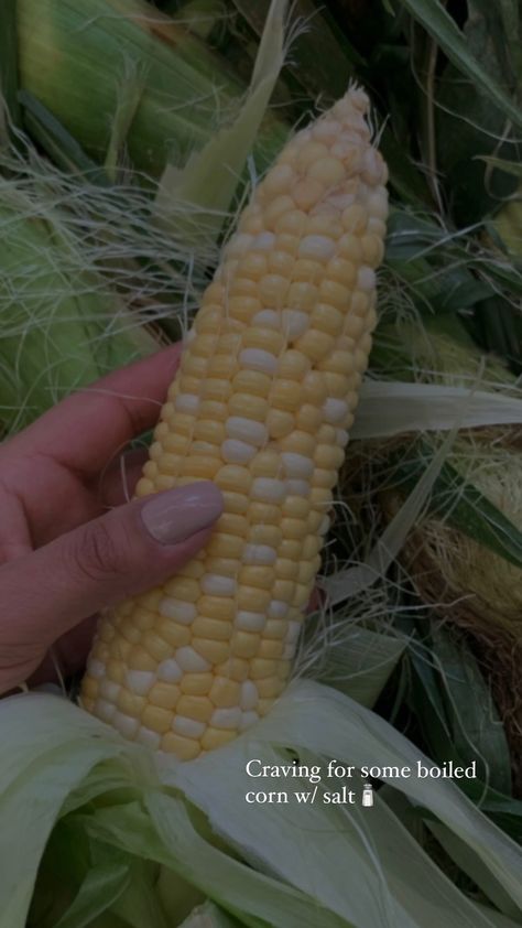 Corn Corn Captions, Boiled Corn, Stories Ideas, Sweet Corn, Instagram Story Ideas, Instagram Story, Corn, Quick Saves, Instagram