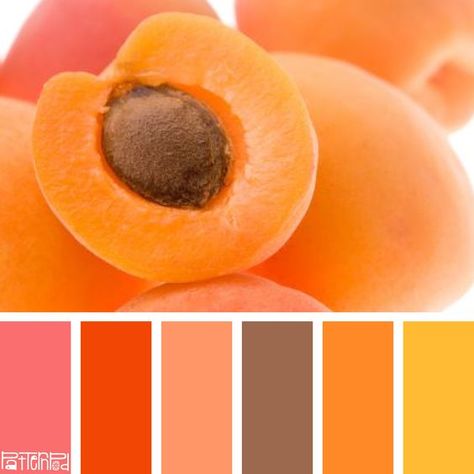 Sweet Apricot #color #colorpalettes | Color | Pinterest | Sweet ... Apricot Color, Color Schemes Colour Palettes, Design Seeds, Color Balance, Color Stories, Colour Schemes, Color Pallets, Color Swatches, Color Theory