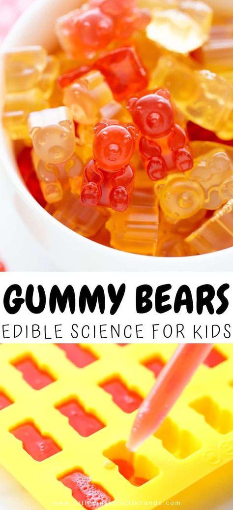 Gummie Bear Recipe, Easy Gummy Recipe, Gummy Bear Ice Cream, Gummy Worm Recipe, Organic Gummy Bear Recipe, Homemade Gummy Bears With Jello, Natural Gummy Bear Recipe, Gummy Bear Recipe With Gelatin, Spicy Gummy Bears Recipe