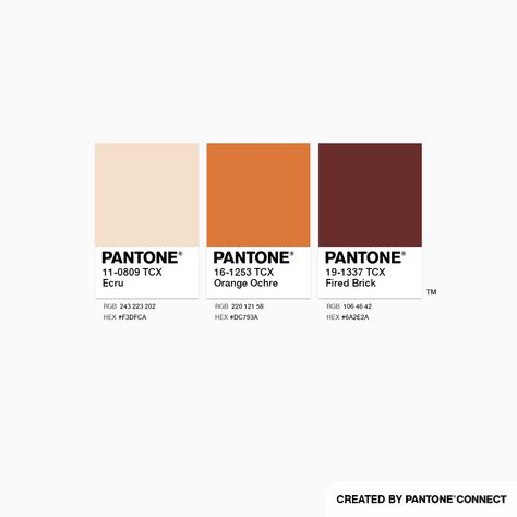 Orange Color Combinations, Colour Pallets, Color Schemes Colour Palettes, Pantone Colors, Deep Autumn, Brick Colors, Fall Color Palette, Color Palette Design, Color Inspo