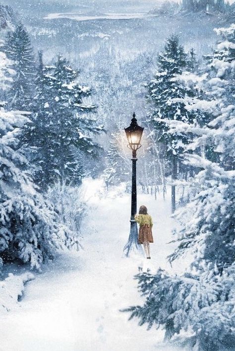 Narnia Lamp Post, Winter Movies, Tunnel Book, Ice Palace, Ipad Drawings, Far From Home, Winter Painting, Cs Lewis, Library Displays