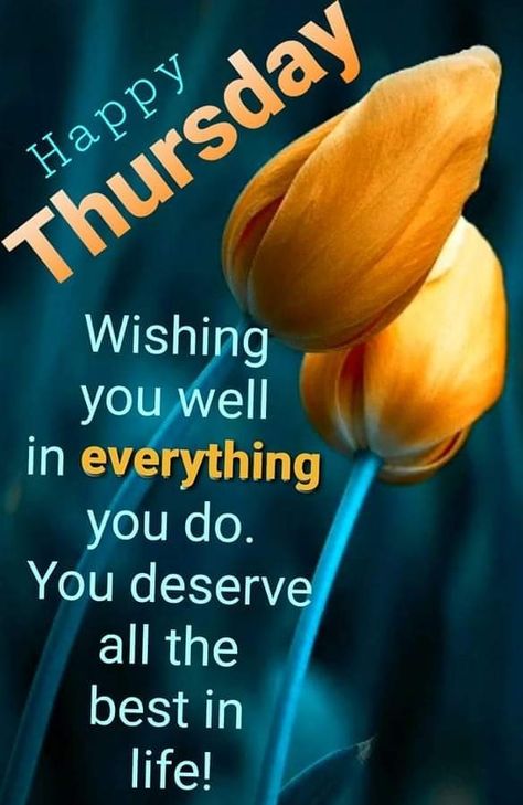 Good Morning Happy Thursday Quotes, Bless Thursday, Thursday Morning Prayer, Good Morning Saturday Wishes, Thursday Morning Quotes, Happy Sabbath Images, Thursday Greetings, Thursday Blessings, Selamat Sore