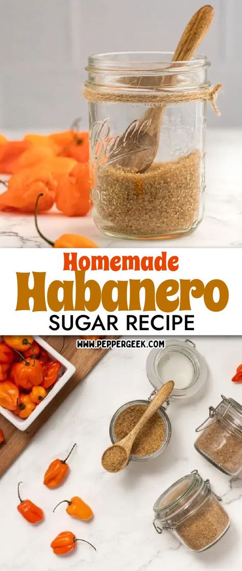 Roasted Pepper Recipes, Habanero Recipes, Infused Sugar, Homemade Spice Blends, Cup Of Hot Chocolate, Flavored Salts, Flavored Sugar, Habanero Peppers, No Salt Recipes