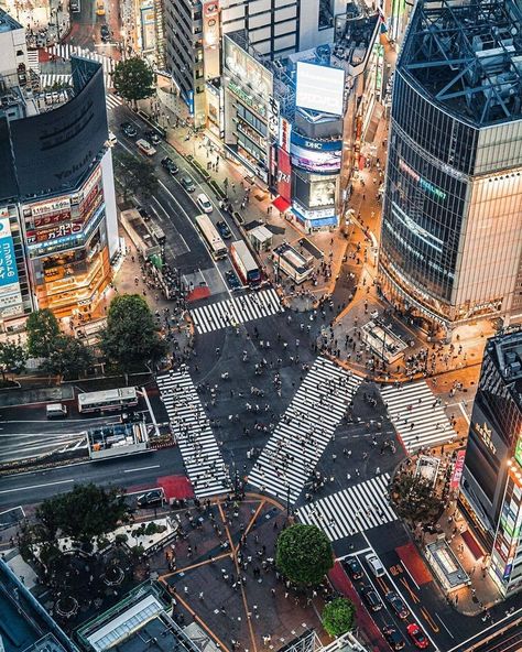 45.1k Likes, 91 Comments - VOYAGED by 9GAG (@voyaged) on Instagram: “The famous Shibuya Crossing — 📌 #渋谷スクランブル交差点 #shibuya #tokyo #japan — 📷 @ebi_times — #voyaged…” Things To Do In Tokyo, Tokyo Tour, Japan Beautiful, Buddhist Shrine, Shibuya Crossing, Travel Booking, Japan Architecture, Tokyo Skytree, Cool Things To Do