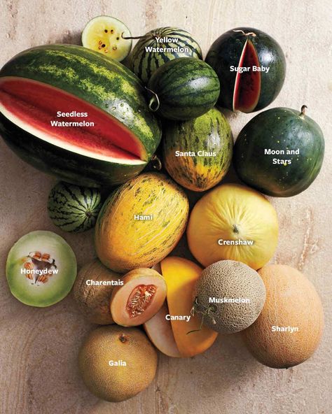 Your Guide to Summer Melons, Including Yellow Watermelons, Hami, and More Types Of Melons, Types Of Watermelon, Healthy Food Quotes, Unique Fruit, Fruit Picking, Fun Fall Activities, Banana Plants, Types Of Fruit, Food Facts