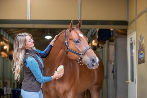 Put Together the Essential Horse Grooming Kit Grooming Horse, Horse Vet, Horse Grooming Supplies, Horse Grooming Kit, Show Jumping Horses, Horse Care Tips, Equestrian Problems, Natural Horsemanship, Horse Training Tips