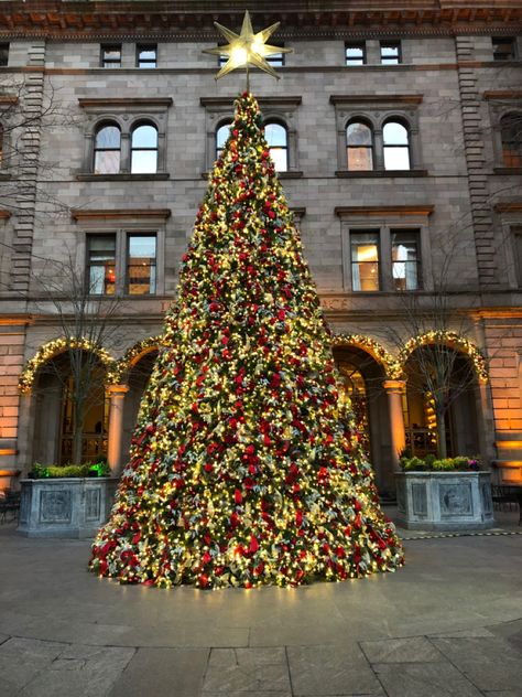 My top 4 things to do in NYC at Christmas Lotte New York Palace, New York Noel, New York Christmas Tree, Gold Lights, Christmas In New York, Nyc Christmas, Colorful Christmas Tree, Morning Pictures, Gold Light